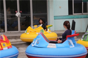 Fwu-long battery bumper cars