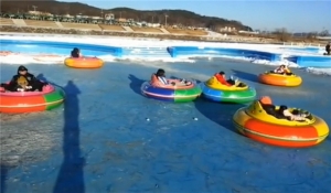 Bumper Cars on Ice for Sale